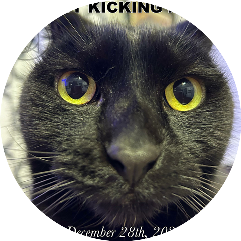 Distinct Kicking Motion