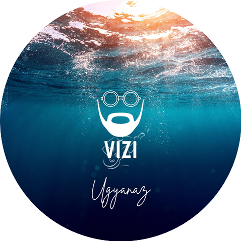 Vizi