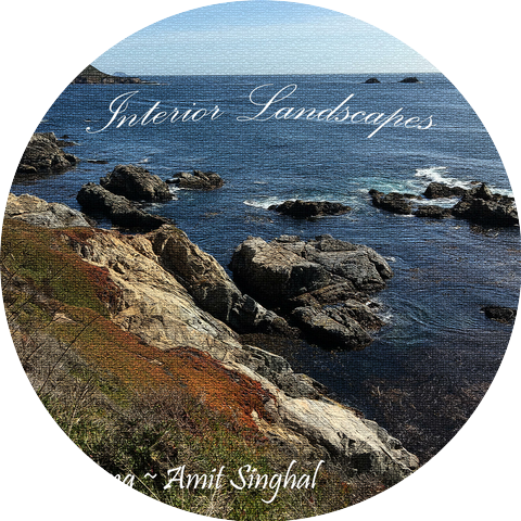 Joel Veena & Amit Singhal