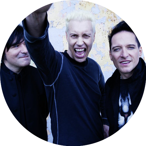 die ärzte