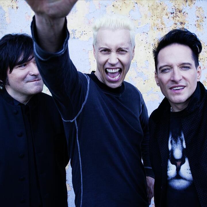 die ärzte