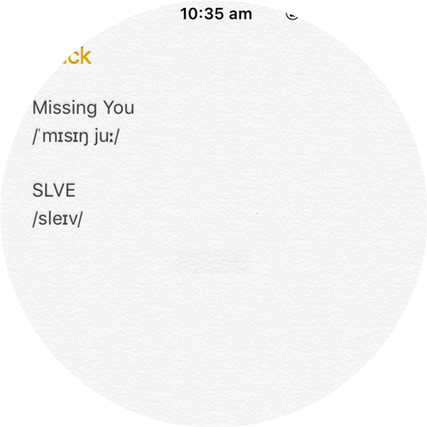 SLVE