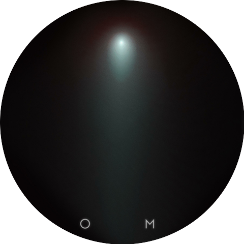 Olpek