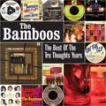 The Bamboos & Ty