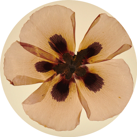 Melissa Parmenter & Joel Cadbury