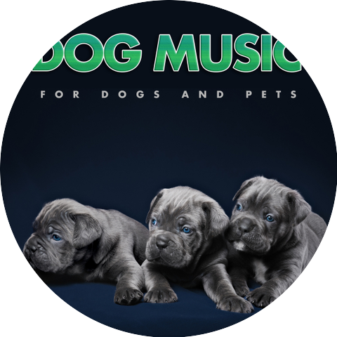 Dog Music & Dog Music Library & Dog Music Experience