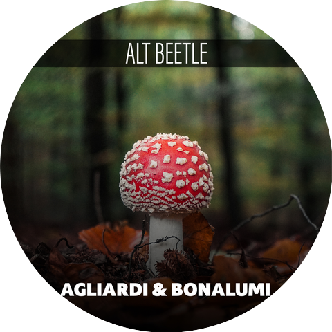 Agliardi & Bonalumi