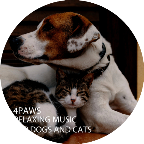 Dog Music & Dog Music Experience & Music For Dogs
