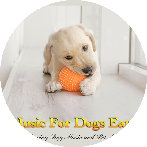 Dog Music & Dog Music Experience & Music For Dogs