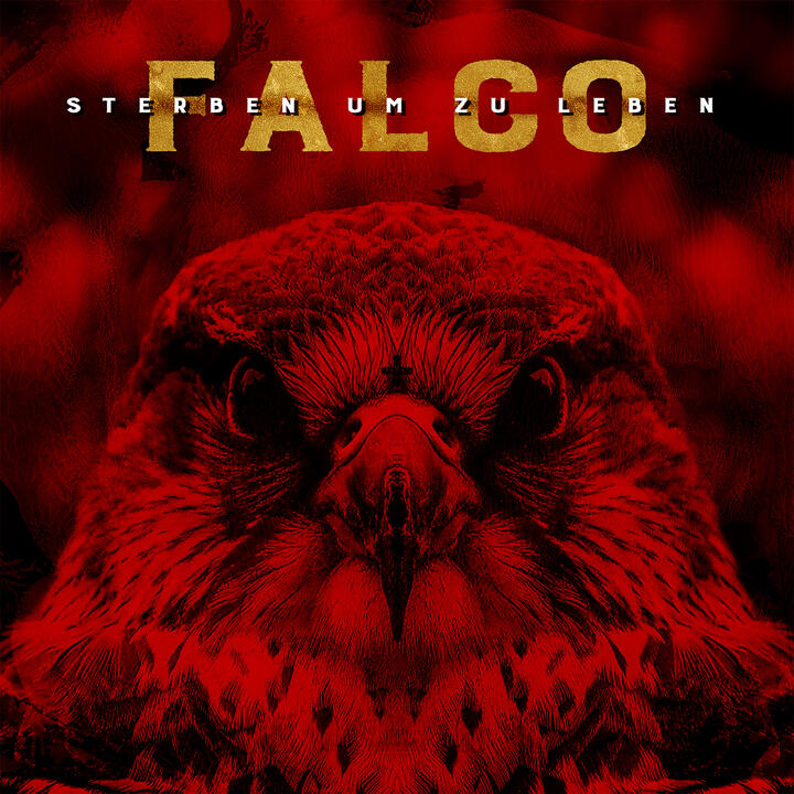 Frauenarzt x Falco
