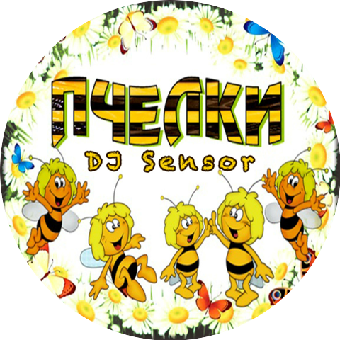 DJ Sensor