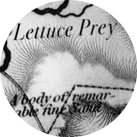 Lettuce Prey