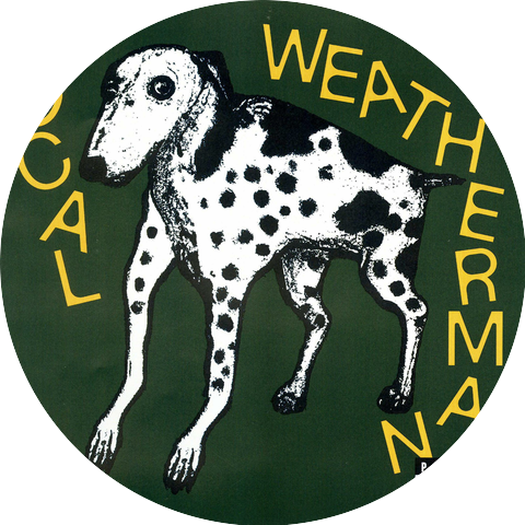 Local Weatherman