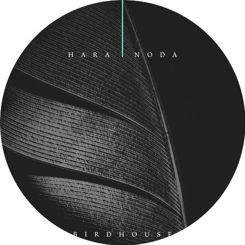 Hara Noda