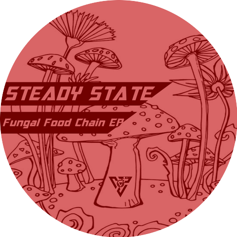 Steady State