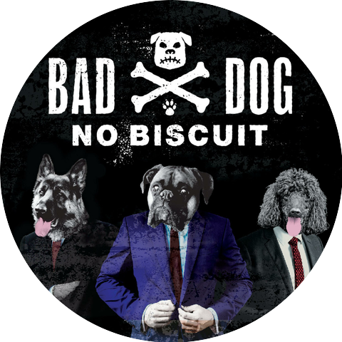 Bad Dog No Biscuit