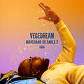 Vegedream & H Magnum