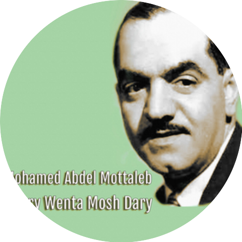Mohamed Abdel Mottaleb