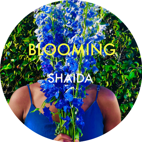 Shaida