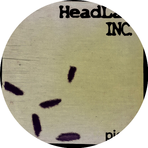 HeadLab INC.