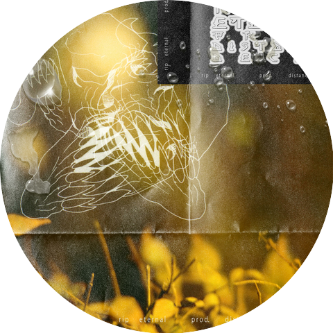 Distance Decay & Rip Eternal