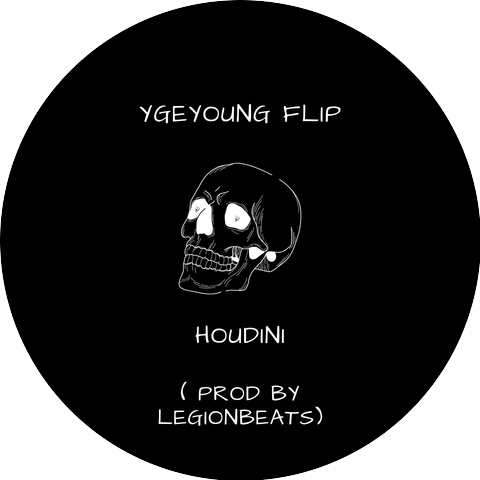 Ygeyoung Flip
