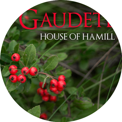 House of Hamill