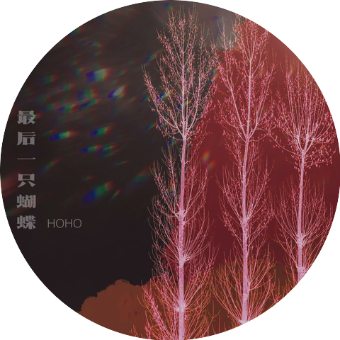 HoHo