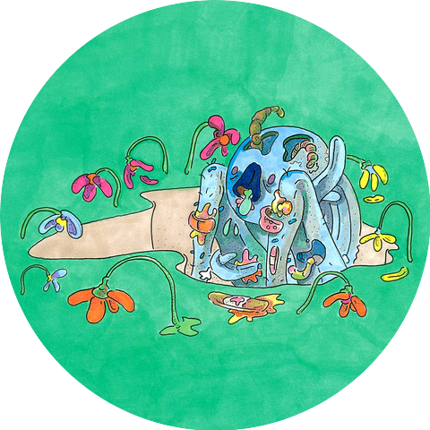 The Sweetheart Vine