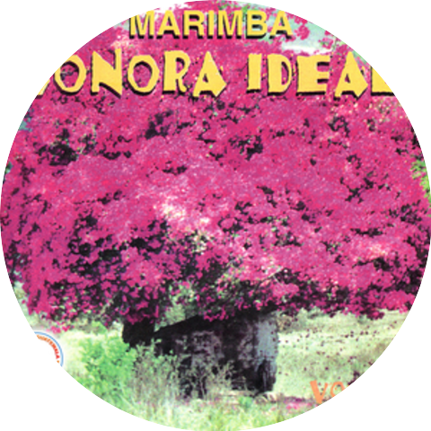Marimba Sonora Ideal