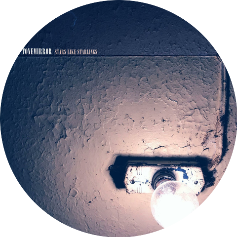 Tonemirror