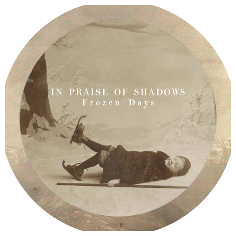 In Praise of Shadows