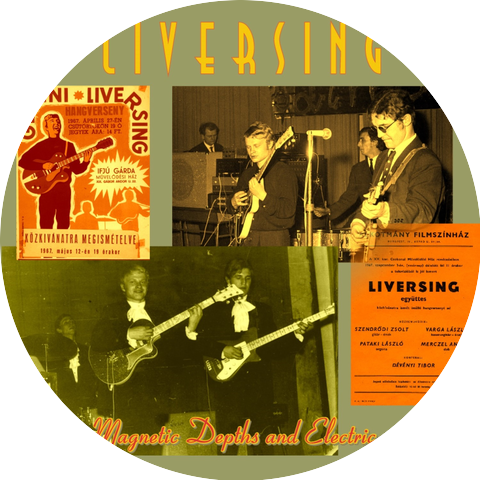 Liversing