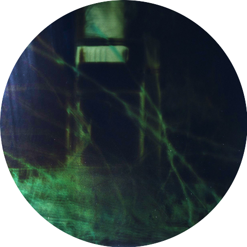 Cutworm