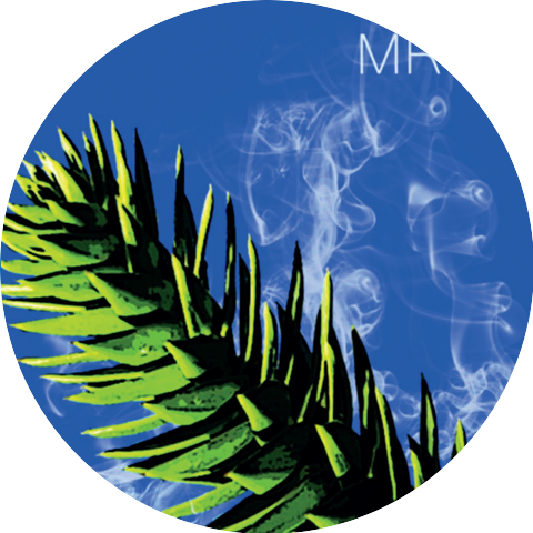 El Momento de Reflexión de Jurassic Parque