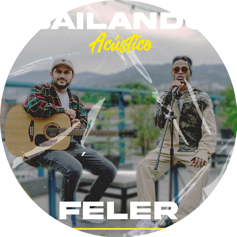 Feler