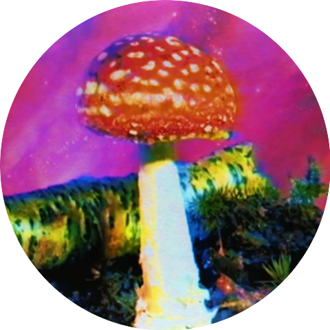 Akira the Don & Terence McKenna