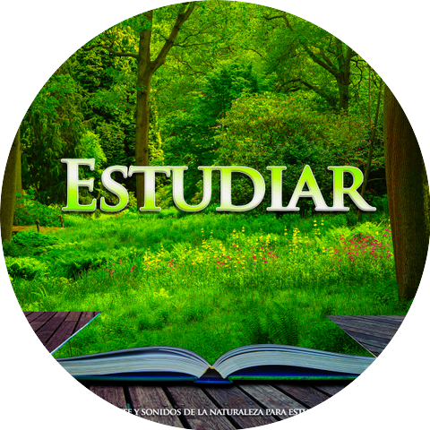 Musica Para Leer & Musica para Concentrarse & Musica Para Estudiar