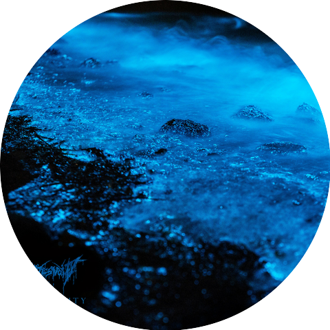 Bootes Void