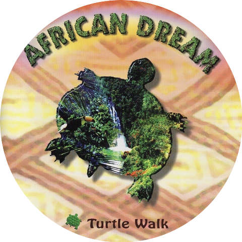Turtle Walk