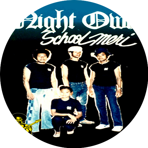 NIGHT OWLS BAND