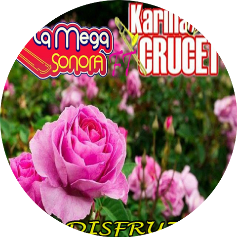 La Mega Sonora