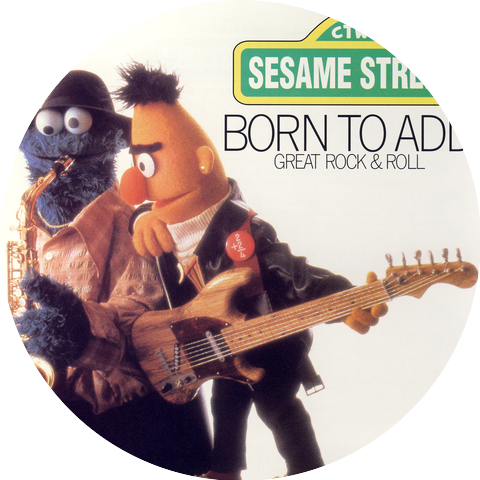 Sesame Street's Bruce Stringbean And The S Street Band