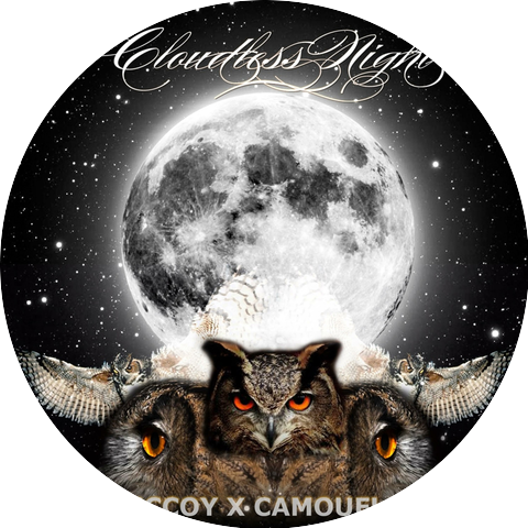 Broot McCoy & Camouflage Don