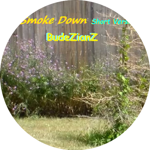 BUdeZianZ