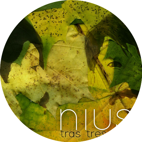 NIUS