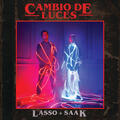 Lasso & Saak