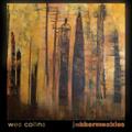 Wes Collins