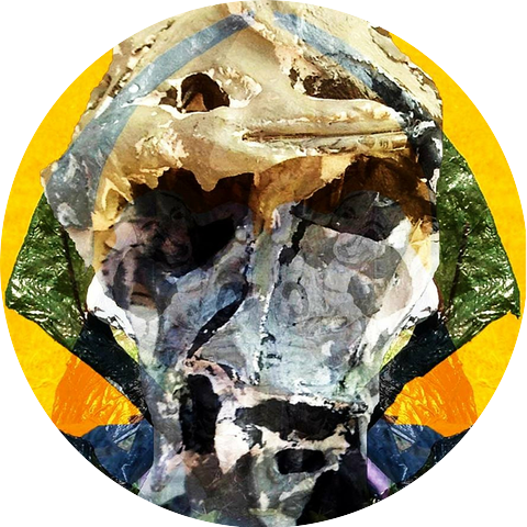 Vendepatria