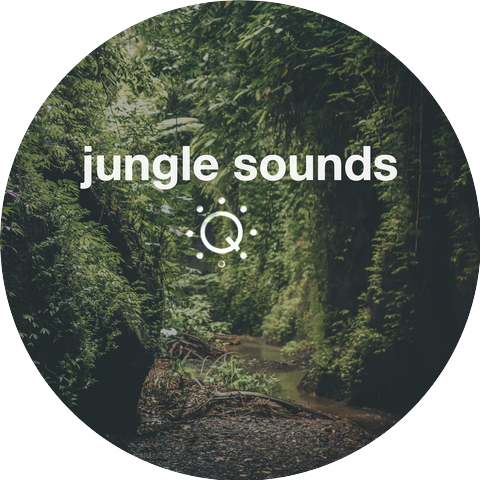 Queue: The Music Lifestyle App